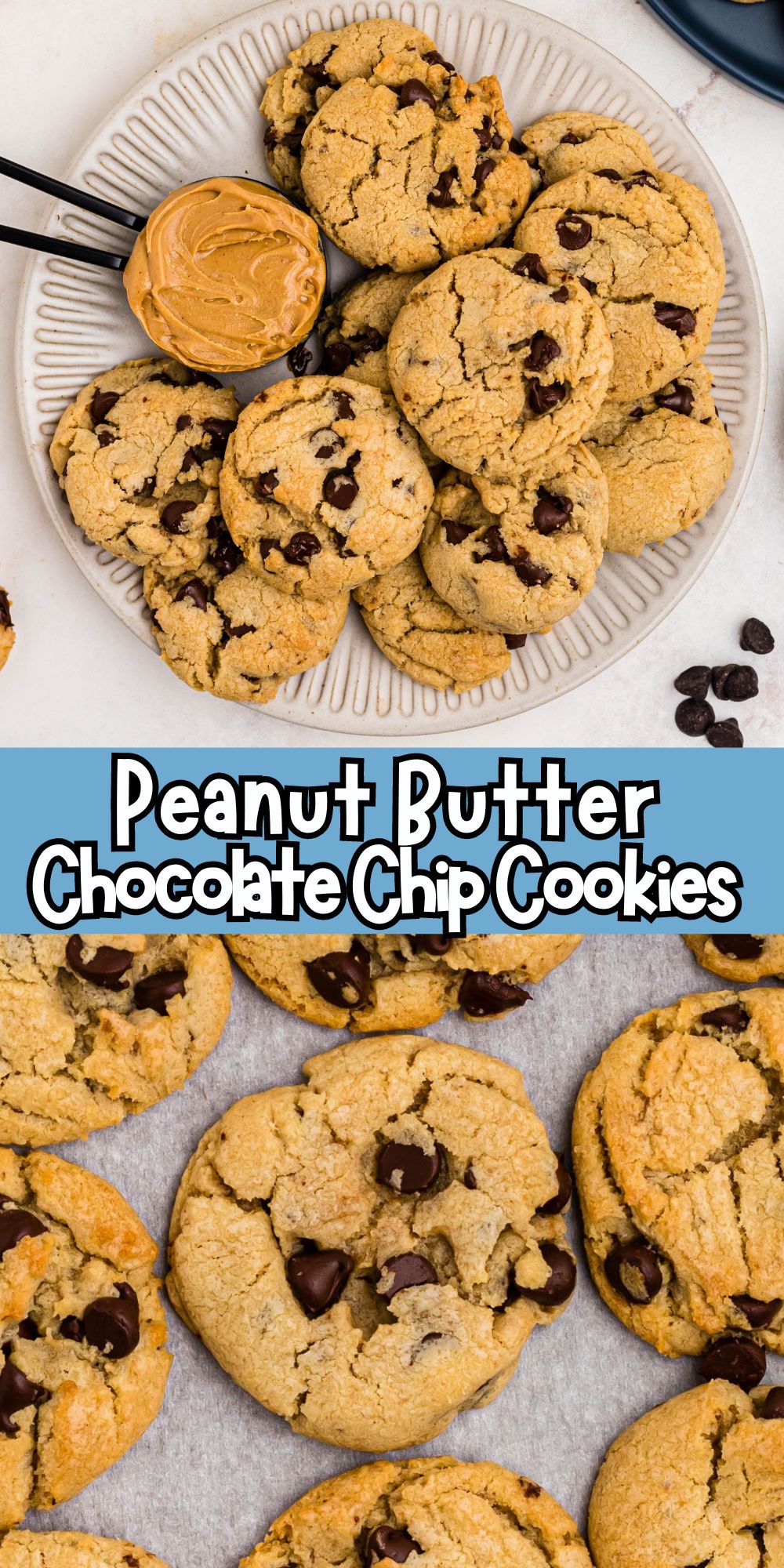 Golden peanut butter chocolate chip cookies on a white plate and on a counter.