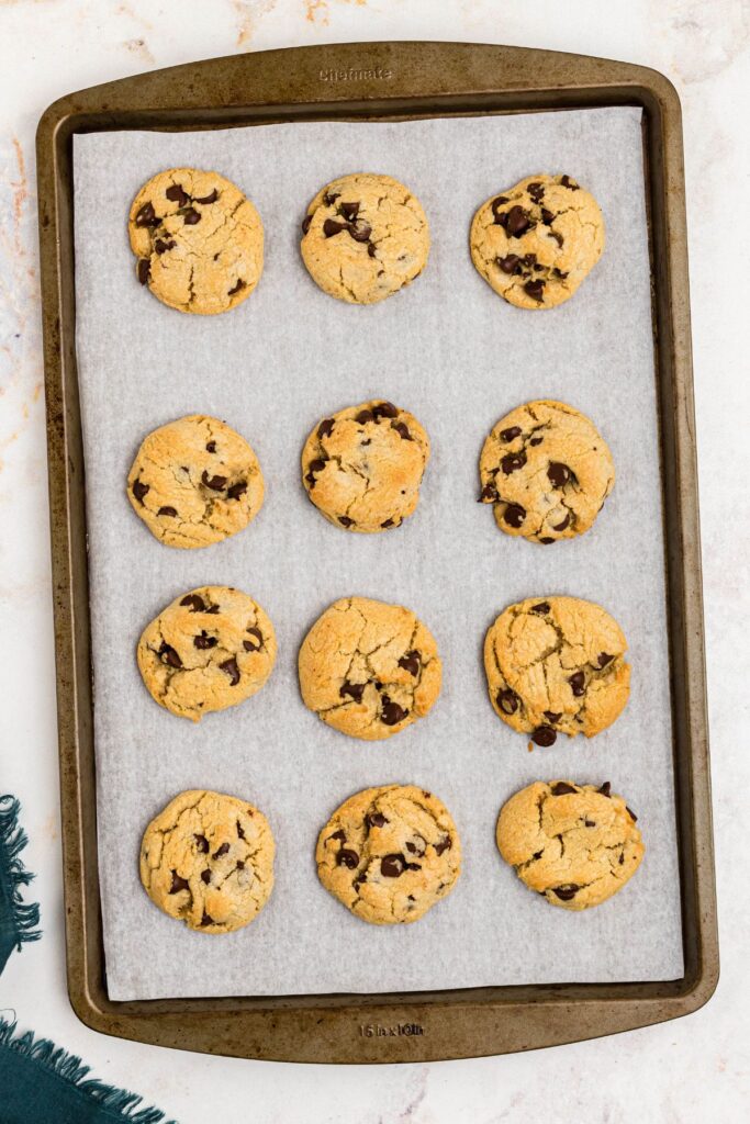 Golden fresh baked cookies on a baking sheet after coming out of the oven. 