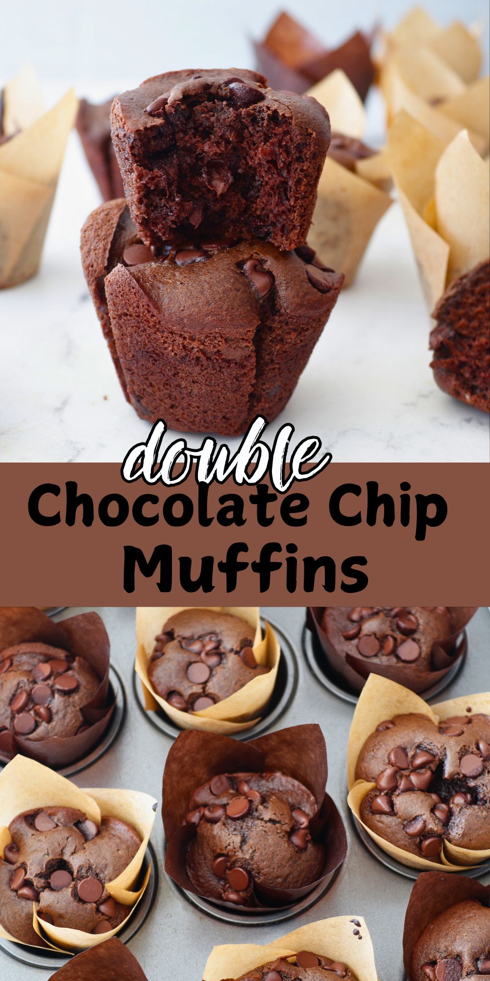 Chocolate muffins in paper liners after being baked in the oven.