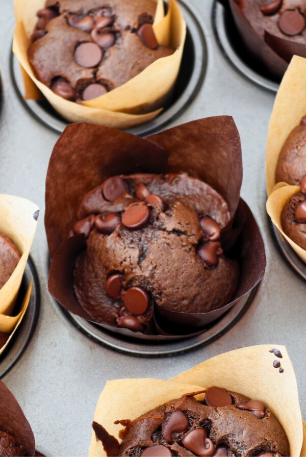 Chocolate muffins in paper liners after being baked in the oven.