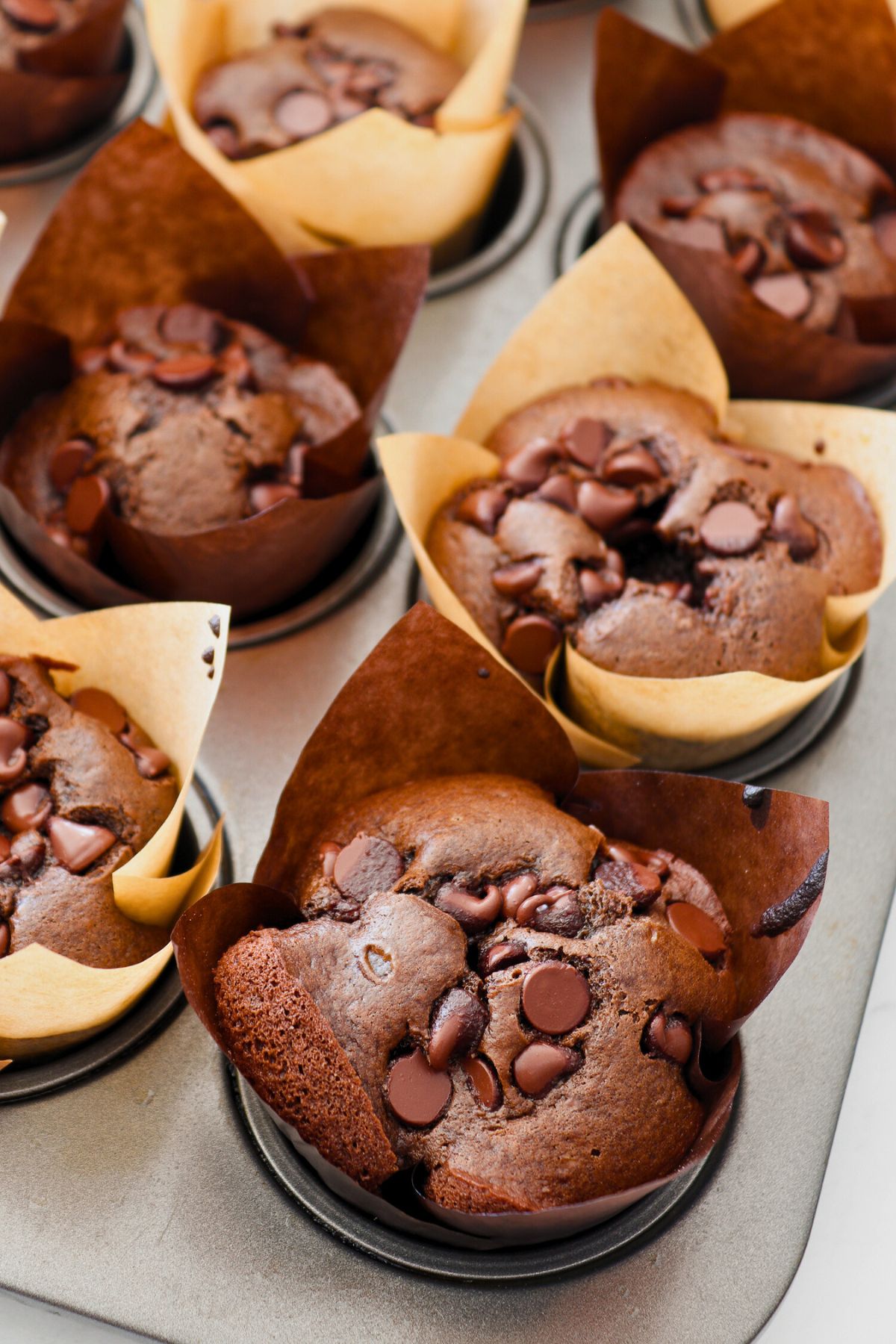 Double chocolate chip muffins in paper liners in muffin pan. 