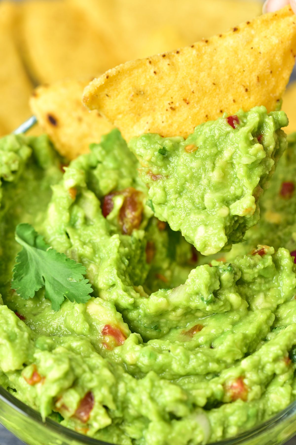 Creamy guacamole with chopped tomatoes and onions mixed in it, with tortilla chip being dipped into the bowl. 