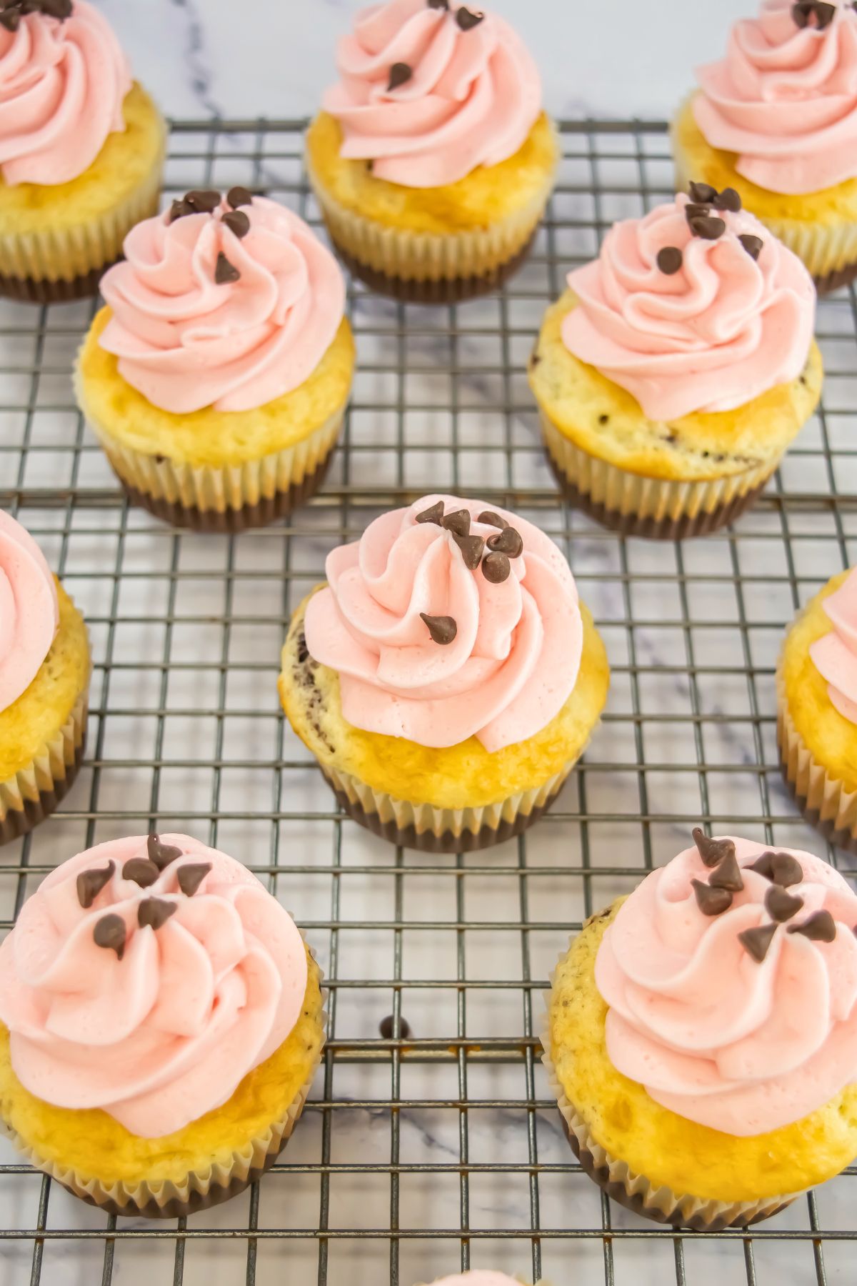 Chocolate and vanilla cupcakes baked and frosted with strawberry buttercream, on a wire cooling rack. 