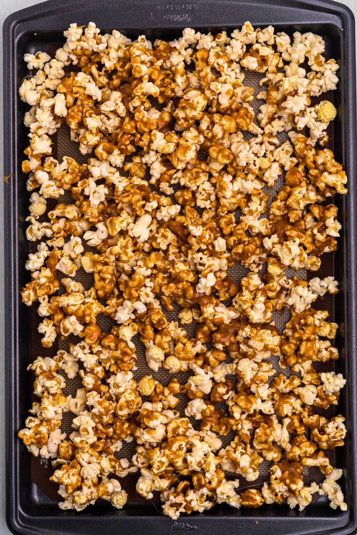 Large baking pan with popcorn spread out, before baking. 