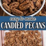 Sugar coated pecans in a white bowl with a small jar of sugar behind the bowl and in the baking sheet lined with parchment paper.