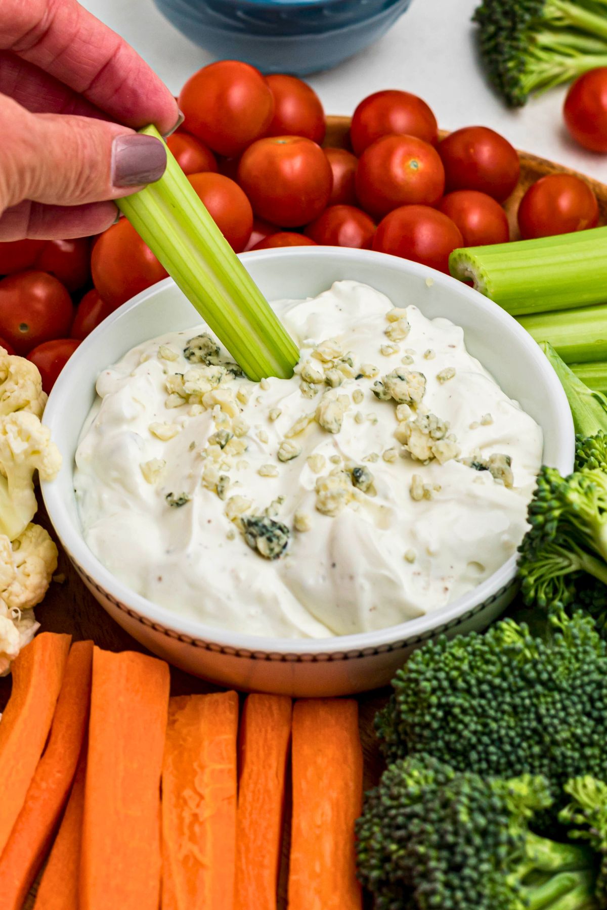 Round white bowl filled with white cream mixed with cheese and seasonings, surrounded by veggies, with a piece of celery being dipped into center.