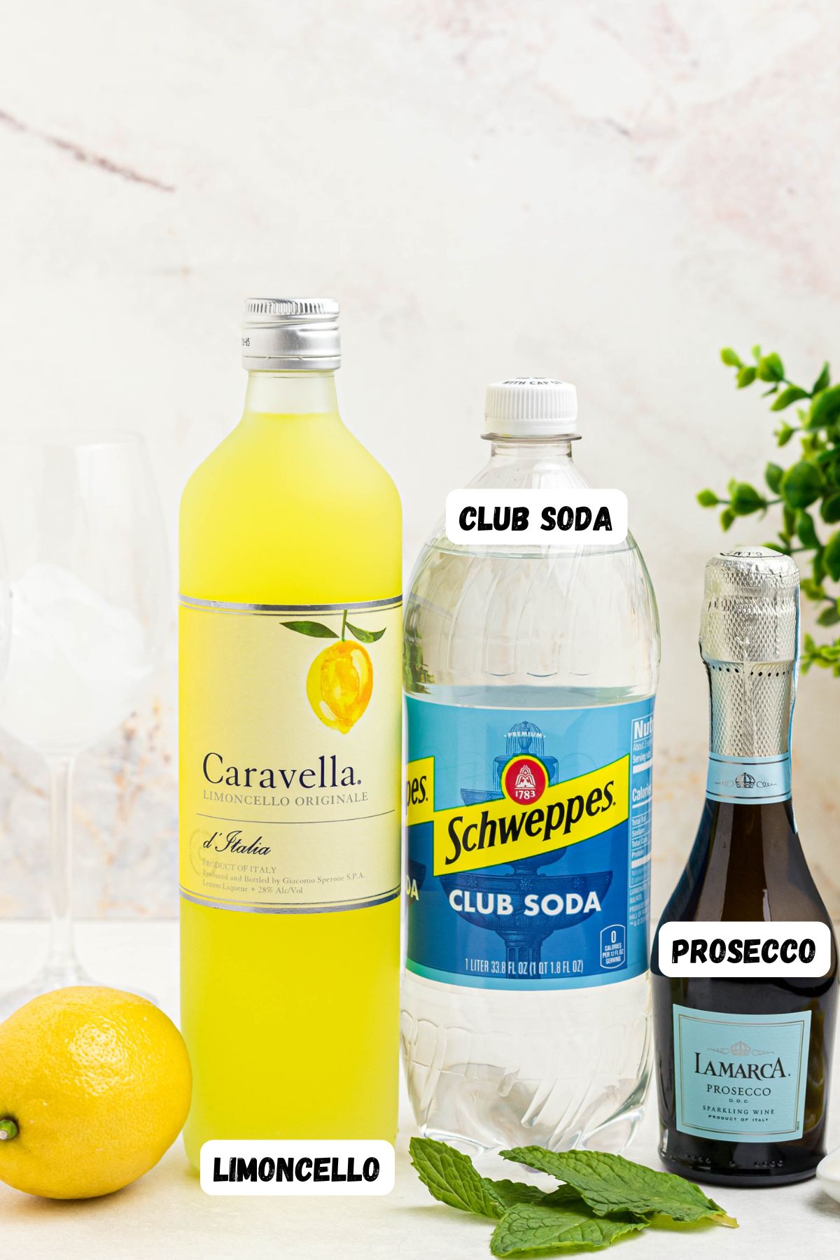 Ingredients of limoncello, soda water, and prosecco, with lemon and mint on a marble table,